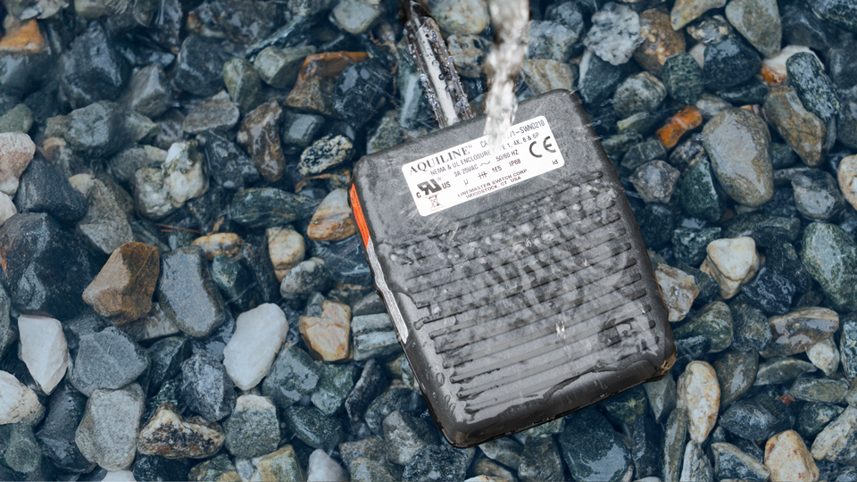 What is Ingress Protection?
